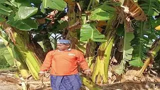 Desa Berdaya Provinsi Jawa Timur 2024 