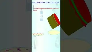 INSERTIONAL INACTIVATION