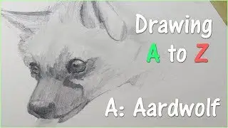 Pencil Drawing: Aardwolf (DRAWING A TO Z)
