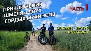 Приключения шмеля и двух гордых мухинсов! Часть 1.