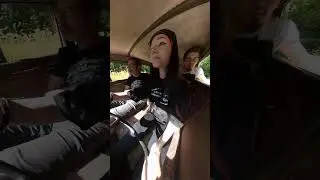 Вызывал такси, а получилось как всегда