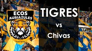 Ecos Auriazules |  Tigres vs Chivas