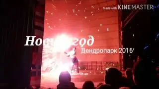 Дендропарк Новий рік 2016 ("ФаєрШоу" місто Черкасси)