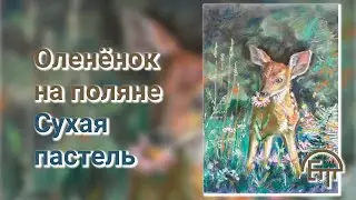 Young deer in the meadow. Dry pastel.