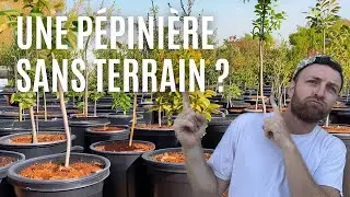 CULTIVER DES FRUITIERS EN POTS : AVOCAT-AGRUMES-FEIJOA (présentation + astuces)