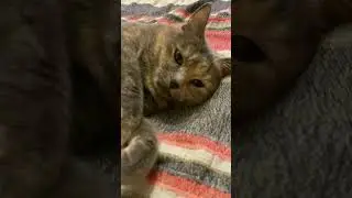 Девочки никогда не сомневайтесь в своей красоте.