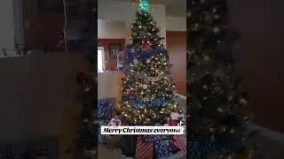 Merry Christmas everyone🎄❤️