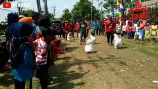 Lomba balap karung tergokil 😆😆| Memperingati HUT RI 77