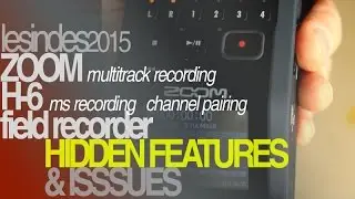 Zoom H-6 // Hidden Features // Issues