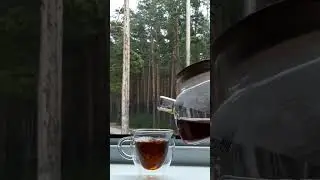 За секунду до счастья! (с тебя лайкусик))