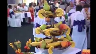 Nenad Tasic Tane   Virtuoz na harmonici