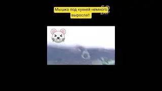 Мышка #юмор #дача #собака #мышка