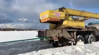 Переезд медведя Мансура из Орловки в Орешково (весна 2018г)