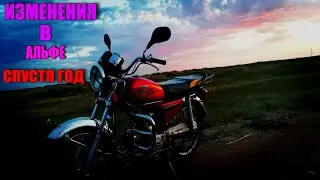 ИЗМЕНЕНИЯ В АЛЬФЕ СПУСТЯ ГОД | ссылки на товары в описании