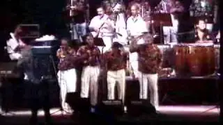 Fania All Stars - Catalina la O