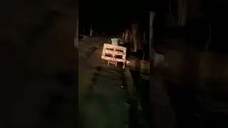 Дед украл поддон