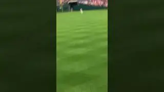 Shane victorinos first pitch