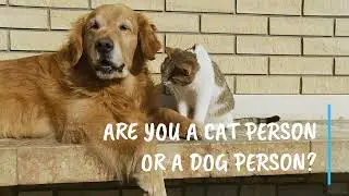 Pets and Things