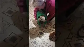 бабуля бит сабачку больше жизни