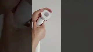 V1