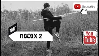 Посох 2