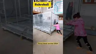 tovuq katak narxlari | tovuq katak narxlari 2025 | товук катак нархлари 2025