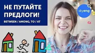 Разница между: between и among, to и at. Английские предлоги