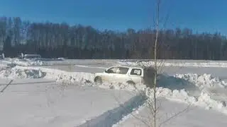 Бешеный лось зима 2021