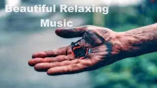 Relaxing Music for Ambient and stress relief  - Beautiful music for meditation 🎶