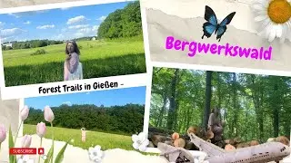 Walking into the mining forest of Giessen - Giessen's natural beauty || Giessen, a city in Germany