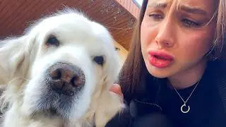 ДИАНА ВЕРНУЛАСЬ В УКРАИНУ В СВОЙ ДОМ!!!