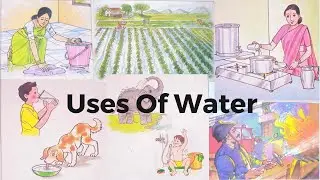 Uses Of Water For Kids & Children | Importance Of Water | Learn Water Uses In English