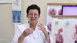 Самопомощь при высоком холестерине. [Шишова О.И.]