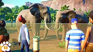 Can't Educate Guests in Planet Zoo? Watch this!