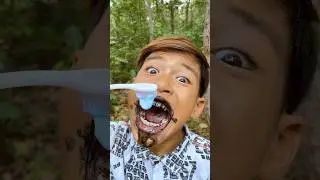 Bushcraft Skills: Forest Life Hacks #s #survival #bushcraft #lifehacks #forest #outdoors #camping