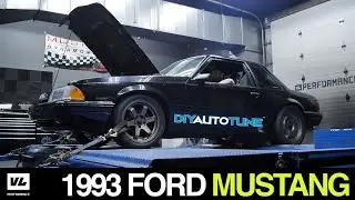 Megasquirt Fox Body Mustang