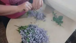 Спасательная настойка для суставов.