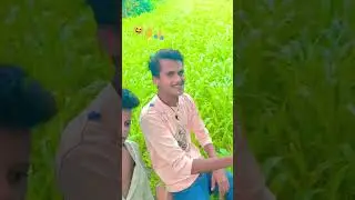 Hara hariyali raho 🥰😍😍7🥰🥰🥰
