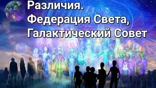 Федерация Света, Галактический Совет