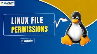 Linux File Permissions 644 & 755 Explained in 10 Minutes | chmod Made Easy