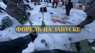 Ловля Форели Зимой/Запуск 600 кг./Рыбалка в Марлине