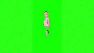 Who wants to go to 4 seasons orlando meme green screen