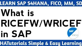 What is RICEFW in SAP | SAP WRICEF Object in Hindi