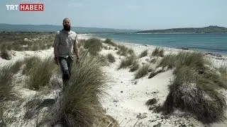 Çanakkale'nin Sırları - 73. Bölüm 