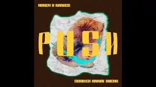 Skrillex & Hamdi & TAICHU - Push (Honey & Badger Extended Remix)