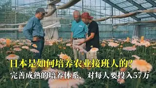 日本是如何培养农业接班人的？完善成熟的培养体系，对每人要投入57万