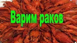 Варим раков. Самый простой рецепт