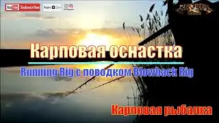 Карповая оснастка Running Rig с поводком Blowback Rig