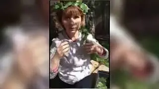 Плетем венок из листьев березы