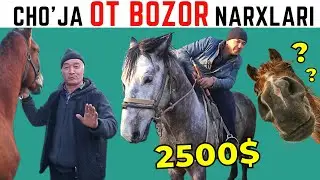 OT BOZORIDAGI YANGI NARXLAR | SHAHRIXON - CHO'JA OT BOZORI | 2023